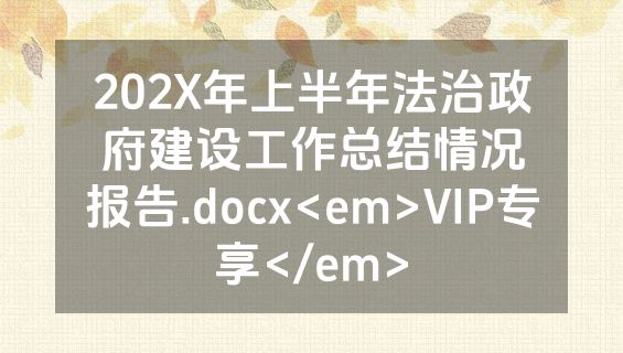 202X年上半年法治政府建设工作总结情况报告.docx<em>VIP专享</em>