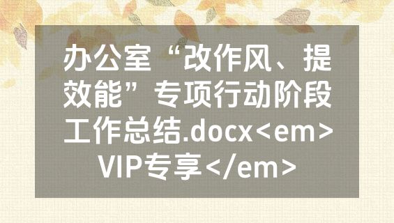 办公室“改作风、提效能”专项行动阶段工作总结.docx<em>VIP专享</em>