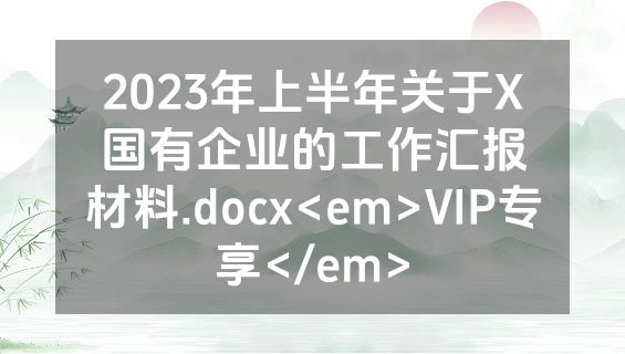 2023年上半年关于X国有企业的工作汇报材料.docx<em>VIP专享</em>