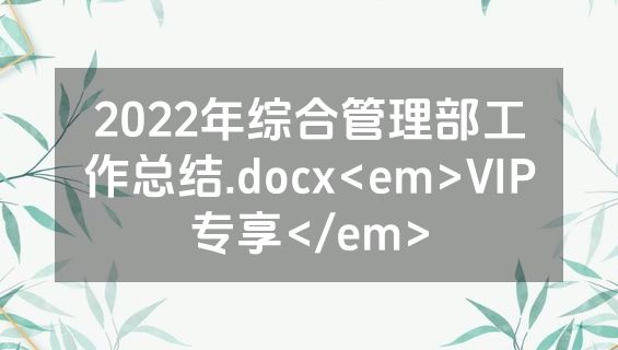 2022年综合管理部工作总结.docx<em>VIP专享</em>