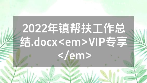2022年镇帮扶工作总结.docx<em>VIP专享</em>