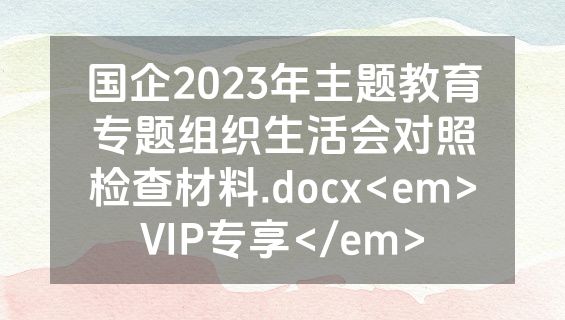 国企2023年主题教育专题组织生活会对照检查材料.docx<em>VIP专享</em>