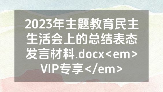2023年主题教育民主生活会上的总结表态发言材料.docx<em>VIP专享</em>