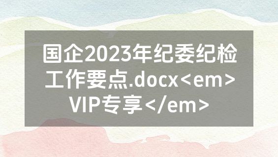 国企2023年纪委纪检工作要点.docx<em>VIP专享</em>