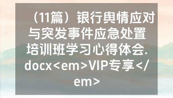 （11篇）银行舆情应对与突发事件应急处置培训班学习心得体会.docx<em>VIP专享</em>