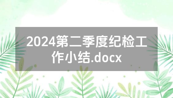 2024第二季度纪检工作小结.docx