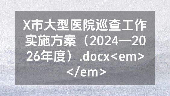 X市大型医院巡查工作实施方案（2024—2026年度）.docx<em></em>