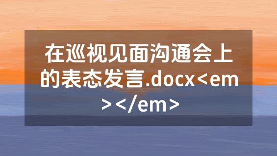 在巡视见面沟通会上的表态发言.docx<em></em>