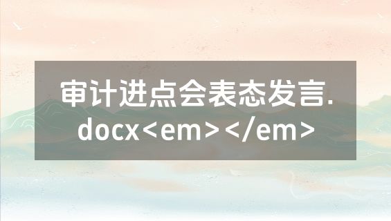 审计进点会表态发言.docx<em></em>