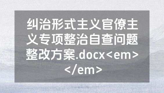 纠治形式主义官僚主义专项整治自查问题整改方案.docx<em></em>