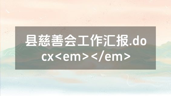 县慈善会工作汇报.docx<em></em>