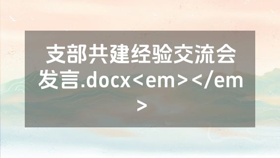 支部共建经验交流会发言.docx<em></em>