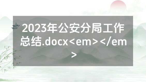 2023年公安分局工作总结.docx<em></em>