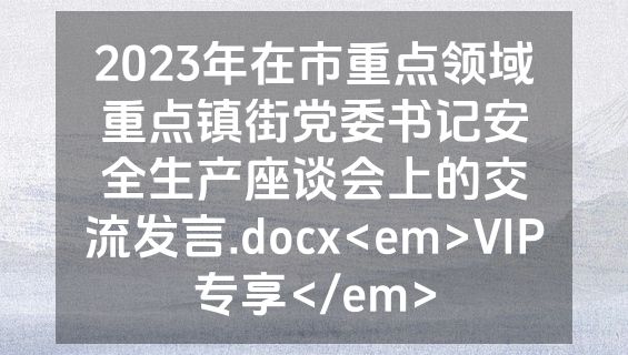 2023年在市重点领域重点镇街党委书记安全生产座谈会上的交流发言.docx<em>VIP专享</em>