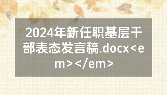 2024年新任职基层干部表态发言稿.docx<em></em>