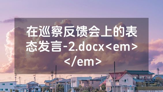 在巡察反馈会上的表态发言-2.docx<em></em>