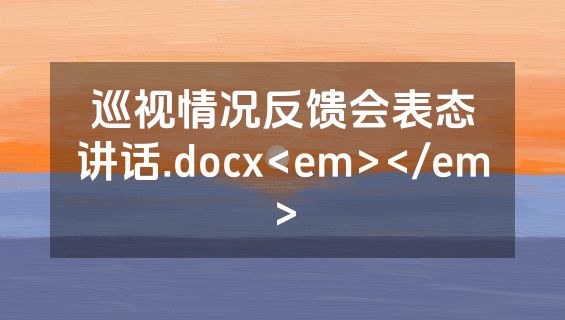 巡视情况反馈会表态讲话.docx<em></em>