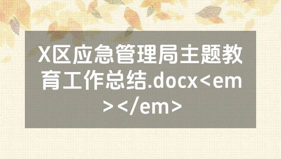 X区应急管理局主题教育工作总结.docx<em></em>