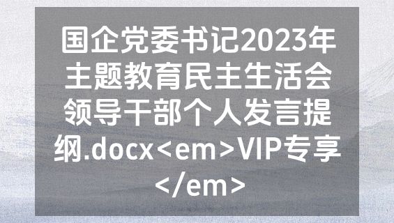 国企党委书记2023年主题教育民主生活会领导干部个人发言提纲.docx<em>VIP专享</em>