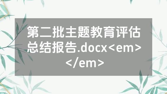 第二批主题教育评估总结报告.docx<em></em>