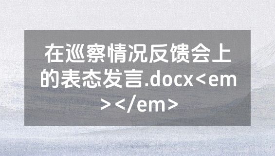 在巡察情况反馈会上的表态发言.docx<em></em>