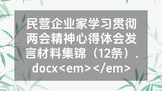 民营企业家学习贯彻两会精神心得体会发言材料集锦（12条）.docx<em></em>