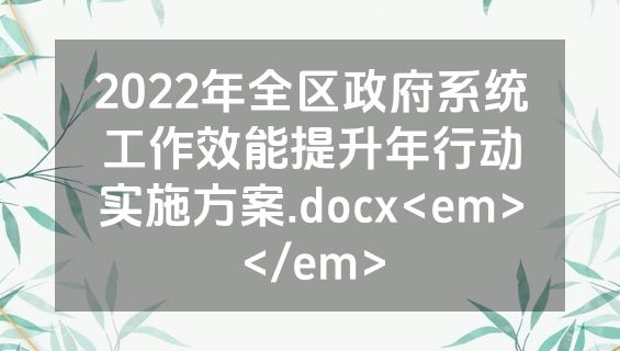 2022年全区政府系统工作效能提升年行动实施方案.docx<em></em>