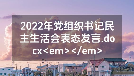 2022年党组织书记民主生活会表态发言.docx<em></em>