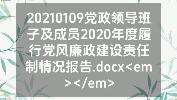 20210109党政领导班子及成员2020年度履行党风廉政建设责任制情况报告.docx<em></em>