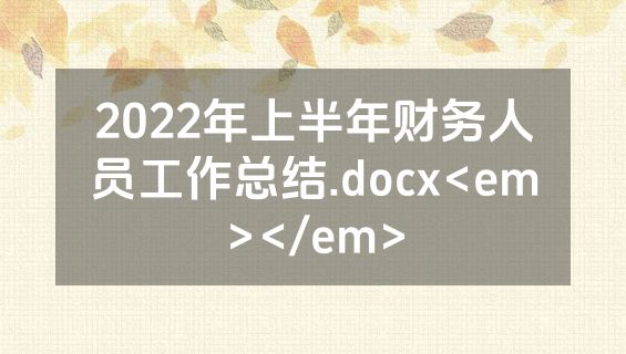 2022年上半年财务人员工作总结.docx<em></em>
