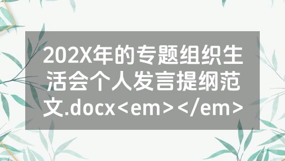 202X年的专题组织生活会个人发言提纲范文.docx<em></em>