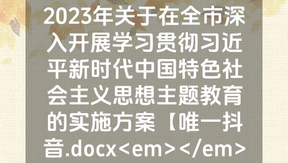 2023年关于在全市深入开展学习贯彻习近平新时代中国特色社会主义思想主题教育的实施方案【唯一抖音.docx<em></em>