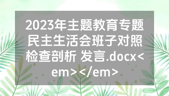 2023年主题教育专题民主生活会班子对照检查剖析 发言.docx<em></em>
