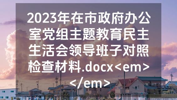 2023年在市政府办公室党组主题教育民主生活会领导班子对照检查材料.docx<em></em>