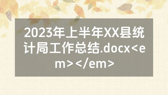 2023年上半年XX县统计局工作总结.docx<em></em>
