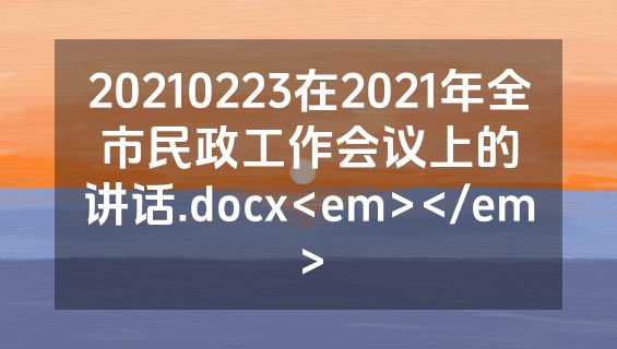 20210223在2021年全市民政工作会议上的讲话.docx<em></em>