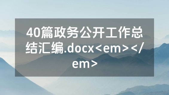 40篇政务公开工作总结汇编.docx<em></em>