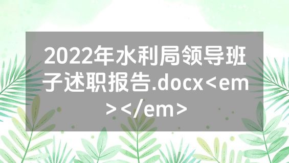 2022年水利局领导班子述职报告.docx<em></em>