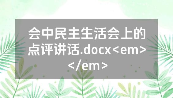 会中民主生活会上的点评讲话.docx<em></em>