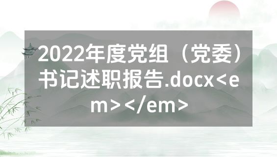 2022年度党组（党委）书记述职报告.docx<em></em>