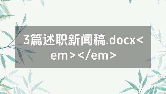 3篇述职新闻稿.docx<em></em>