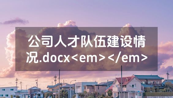 公司人才队伍建设情况.docx<em></em>