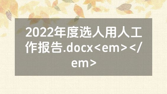 2022年度选人用人工作报告.docx<em></em>