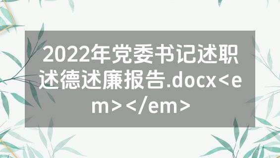 2022年党委书记述职述德述廉报告.docx<em></em>