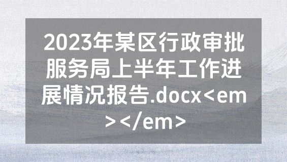2023年某区行政审批服务局上半年工作进展情况报告.docx<em></em>