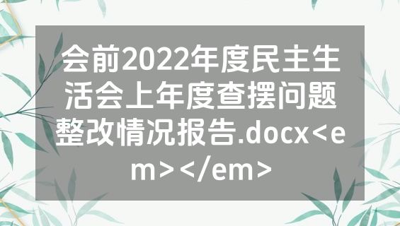 会前2022年度民主生活会上年度查摆问题整改情况报告.docx<em></em>