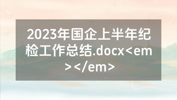 2023年国企上半年纪检工作总结.docx<em></em>