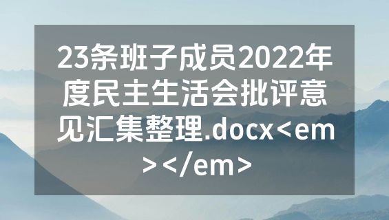 23条班子成员2022年度民主生活会批评意见汇集整理.docx<em></em>