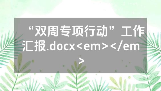 “双周专项行动”工作汇报.docx<em></em>