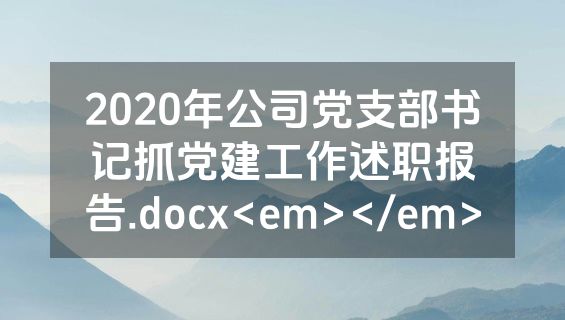 2020年公司党支部书记抓党建工作述职报告.docx<em></em>